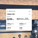 동그란멍멍이