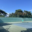 서귀포테니스장(실외) 이미지