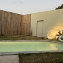 스테이 수림 이미지