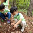 온산에덴유치원 이미지