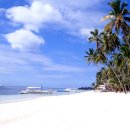 Re:필리핀 세부+보홀섬 알로나팜비치 - 사진첨부 이미지