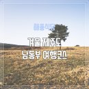 제주도 남동부