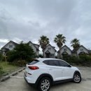 자인빌리지펜션 이미지