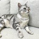 진해일등약국 이미지