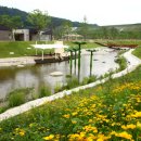 김천부항댐산내들오토캠핑장 이미지