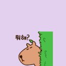 에스더음악학원 | 일주일 일기 : 없을 줄 알았는데 생각보다 많은 이야기들 (머쓱타드😅)