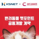 케이에스개발 이미지