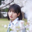 모모미나