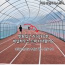 종합운동장 | 추워도 비와도 러닝가능한 서산 비닐하우스 트랙 종합 운동장 다녀온 후기