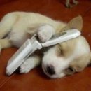 27 당구클럽 이미지