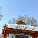세븐일레븐 가능동심점 | 상하이 디즈니랜드 핵심만 뿌수기, 마지막 날까지 완벽(레드립스 마라반/노보텔/디즈니랜드 숙소)