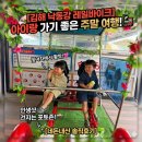 그남자의바이크 | 김해 아이랑 가볼만한곳 김해롯데리조트 2박3일 여행 마지막날 다녀온 김해낙동강레일바이크 후기 🚲