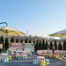 또래방어린이집 | 어린이집 보내고 말이 늘었어요 (17개월 아기 언어발달 변화 후기)