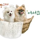더끌림카페