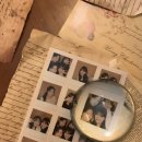 이든펫샵 이미지