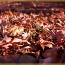 수원자연한의원 이미지