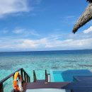 위드오션1 이미지