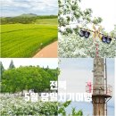 철길농장 이미지