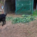 포두우체국 이미지