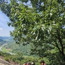 412차 용궐산 정기산행 이미지