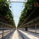 해천농장 이미지