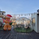 카페인하원 이미지