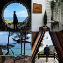 스팟 | [강릉여행] 강릉 인생샷 포토스팟 후기 (하슬라 아트월드, 스테이인터뷰)