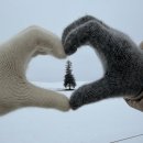 금전제방 공중화장실 | [내돈내산] 삿포로역 출발 비에이 겨울 버스투어 후기｜크리스마스트리·사계채의언덕·흰수염폭포...