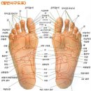 발건강 티스토리