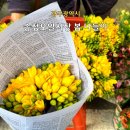 송정5일시장 | 광주 광산구 송정오일시장 봄 나들이 엄지척