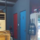 맘모스껍데기 이미지