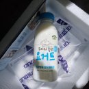 임실치즈두마리목장 | 아이디어스 작가냥 키우기 보상작품으로 임실 수제 요거트 받은 후기