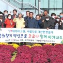 대가야센터-5 이미지