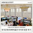 세계조개박물관 | 서울 아이와 가볼만한곳 실내 한국은행 화폐박물관 5살 아이랑 방문 후기