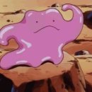 고프빌리 이미지