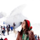 알프스비디오 이미지