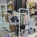 미엘동물병원 | 운정동물병원 고양이 전발치 수술 후 밥잘먹는 후기 파주 동패동 미엘동물병원