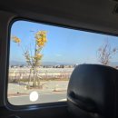 로드카써비스 | 레고랜드 호텔 (닌자고) : 몬스터 캐슬 이용 후기와 팁