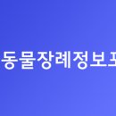 스윗드림 펫 이미지