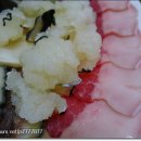 소라고래집 이미지