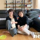 금비켄넬 네이버블로그