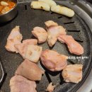 뚱보 생 막창 이미지