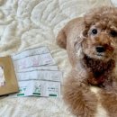 마미나은 이미지