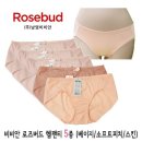 로즈버드 - 군산시 | 로즈버드