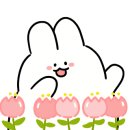 락노래타운 이미지