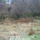 향토목장 이미지