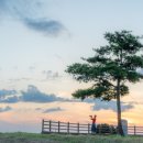 신창정미소 이미지