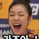 모참치 이미지