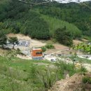 자작나무힐 이미지