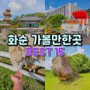 화순 미내미 목장 | 화순 가볼만한곳 화순적벽 운주사 무등산 양떼목장 등 BEST 15곳